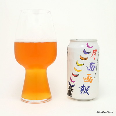 月面画報