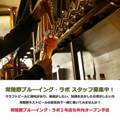 常陸野ブルーイングラボ募集