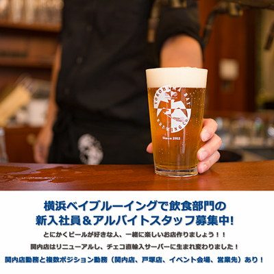 横浜ベイブルーイング募集