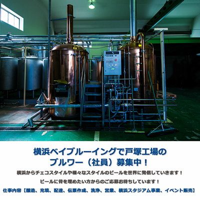 ベイブルーイング募集